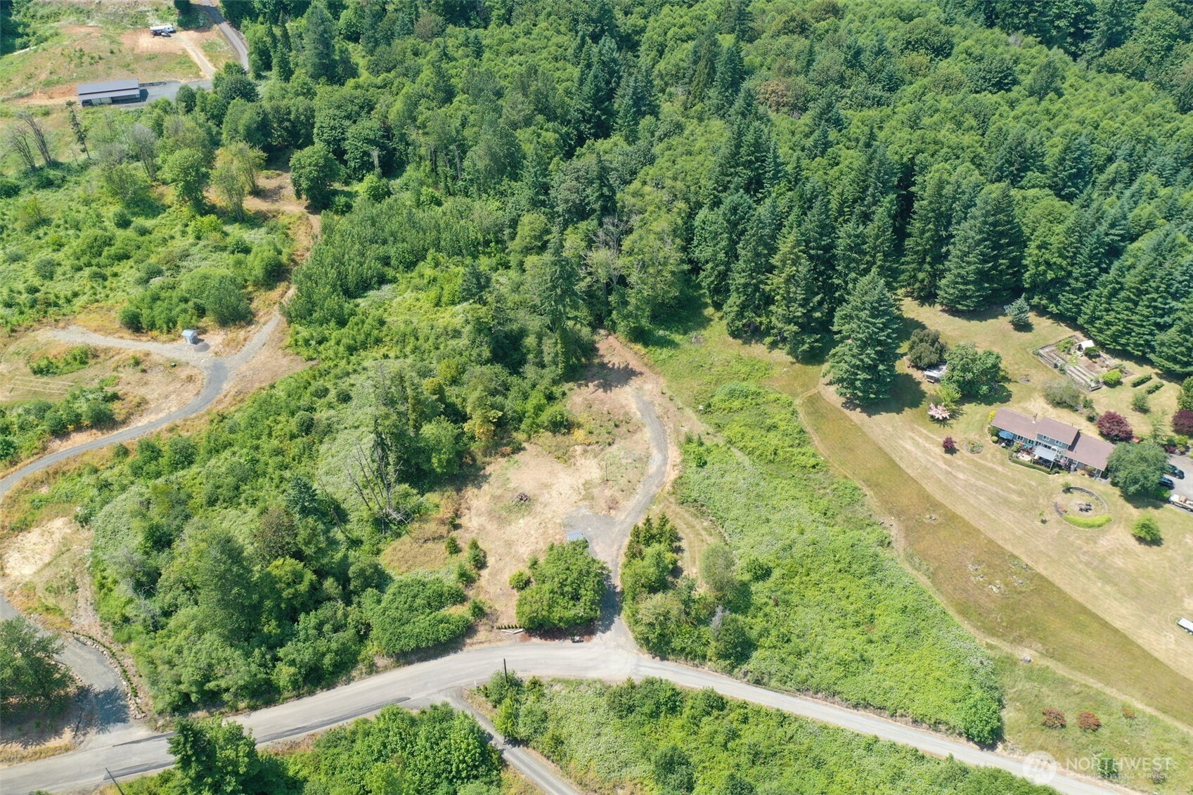 215 Sanderson Road Chehalis, WA 98532 - Photo 13 of 17 a view of a yard with yellow plants