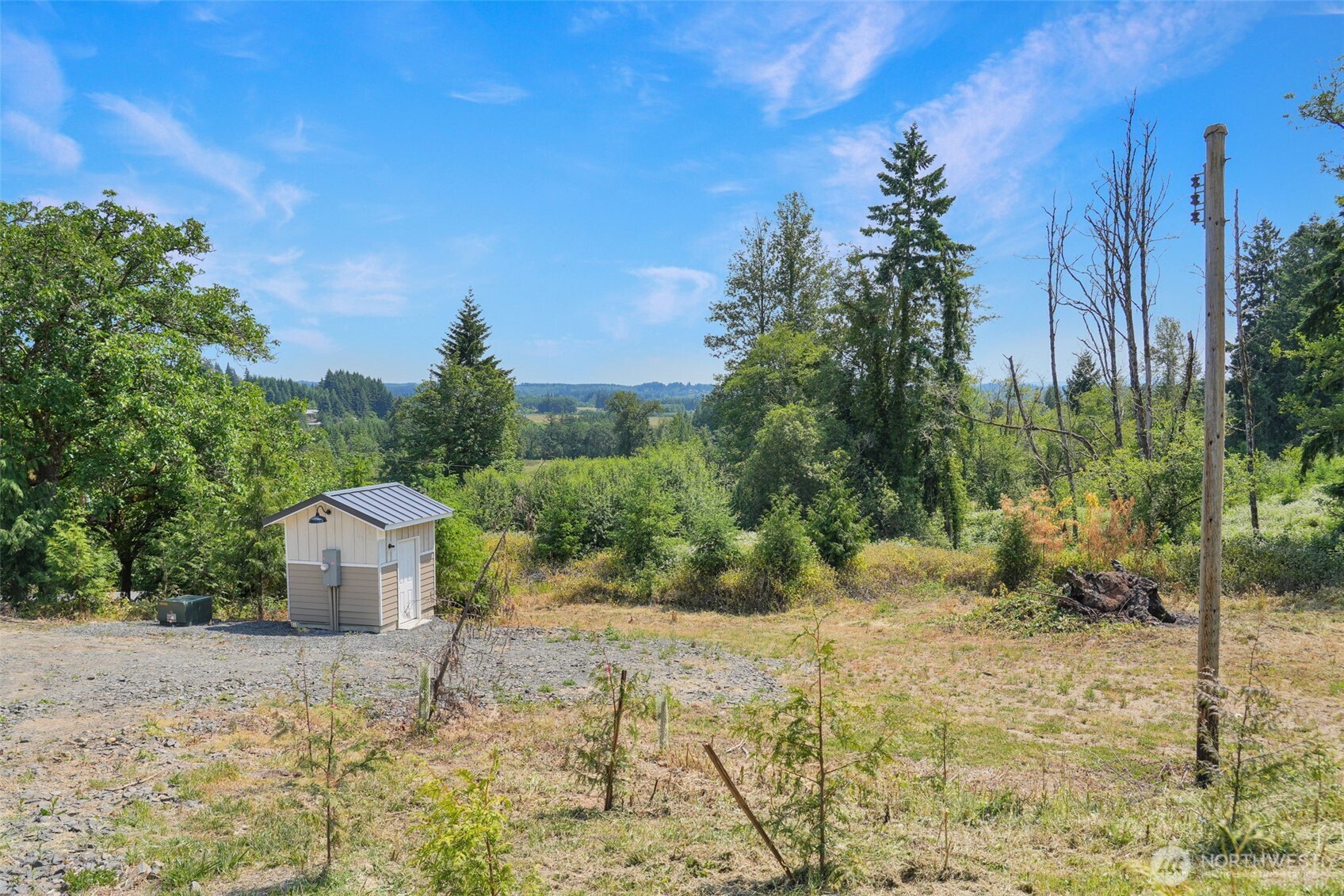 215 Sanderson Road Chehalis, WA 98532 - Photo 3 of 17 a view of a dry yard with trees and plants