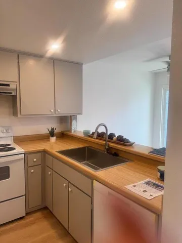 a kitchen with a sink cabinets and stainless steel appliances