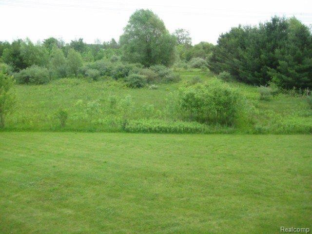 900 Cove Road Goodells, MI 48027 - Photo 20 of 21 IMG_6079