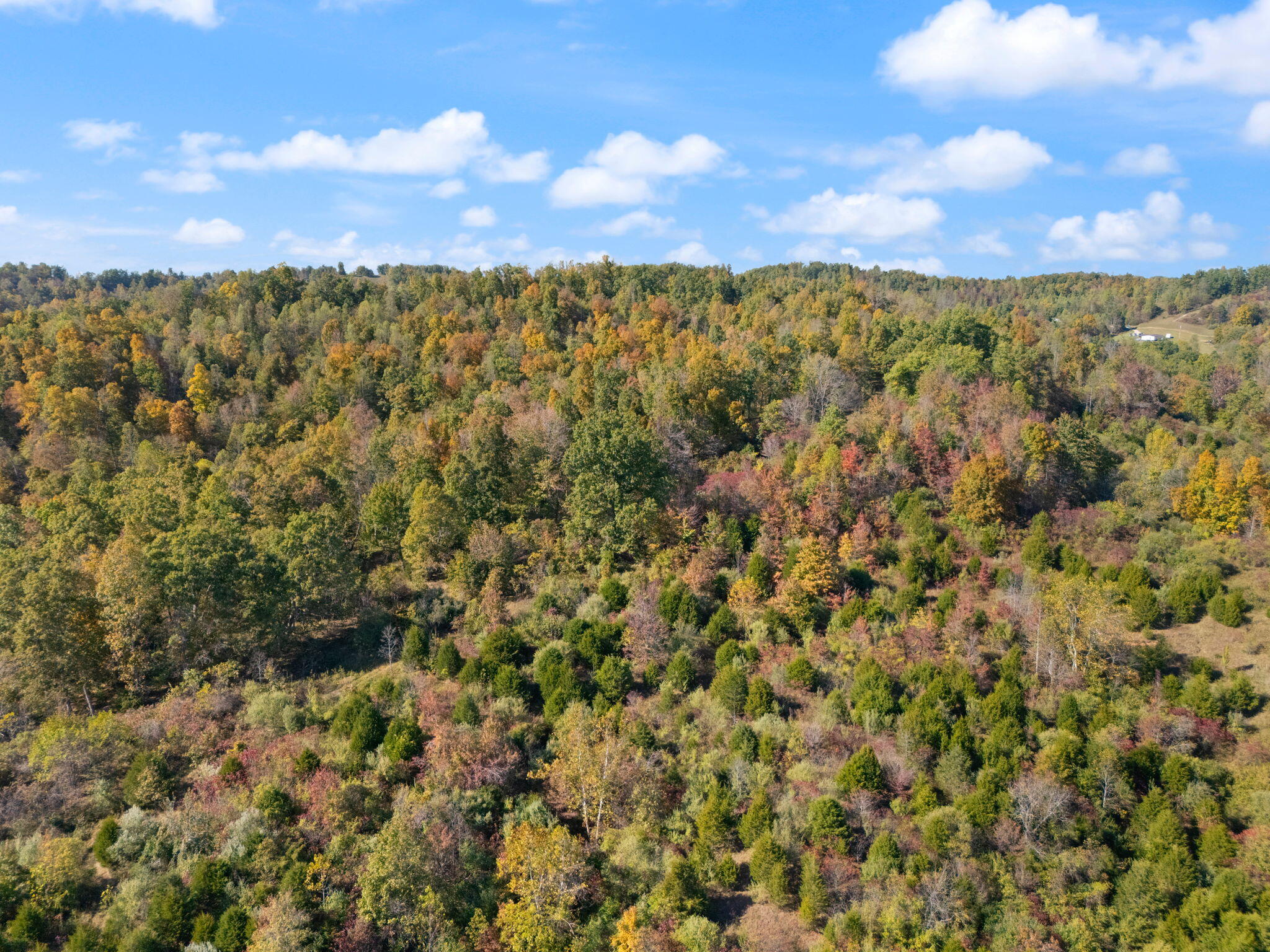 27 All Horn Branch Road Denton, KY 41132 - Photo 56 of 60 65-web-or-mls-DJI_20241018151103_0303_D