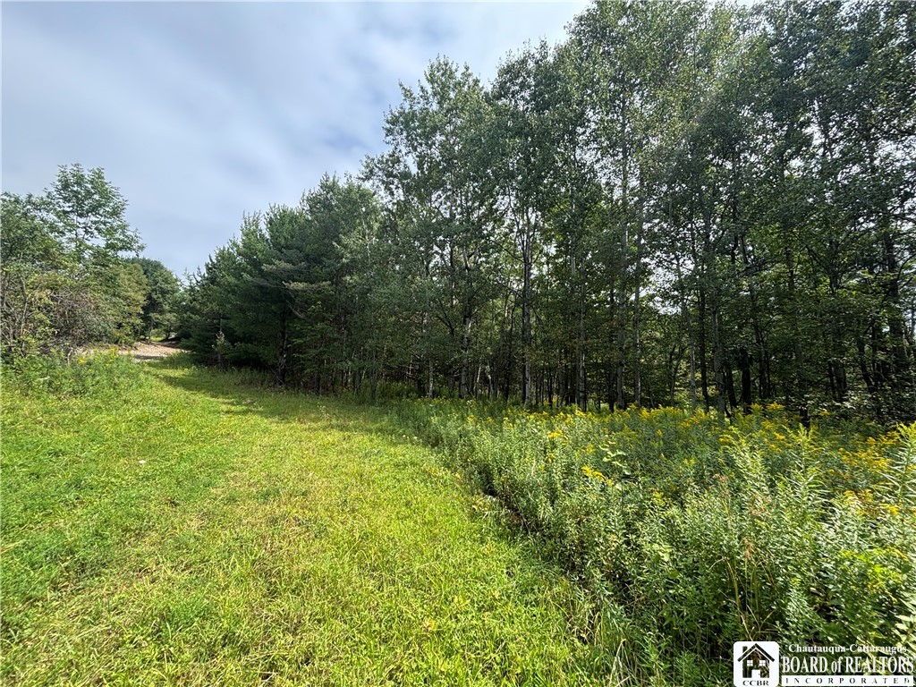Swain Hill Road Andover, NY 14806 - Photo 24 of 44 Gallery Image 24