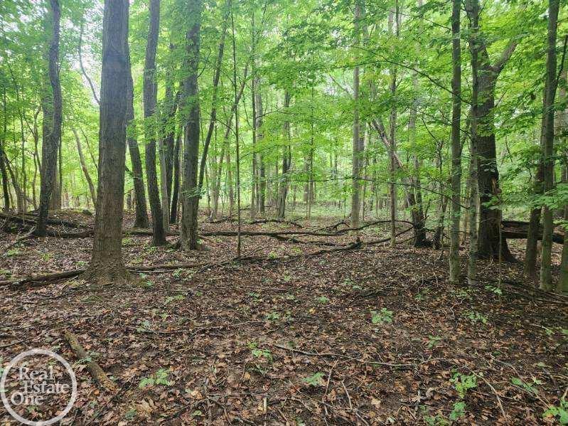 Vl Sheridan Road Emmett, MI 48022 - Photo 13 of 16