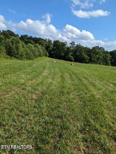 92 St Rutledge Tn 37861, Unit 66075 Rutledge, TN 37861 - Photo 9 of 38 20240606235715711516000000-o