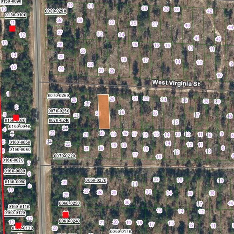 131 West Virginia Street Hawthorne, FL 32640 - Photo 2 of 5 a bunch of flowers sitting in a yellow room