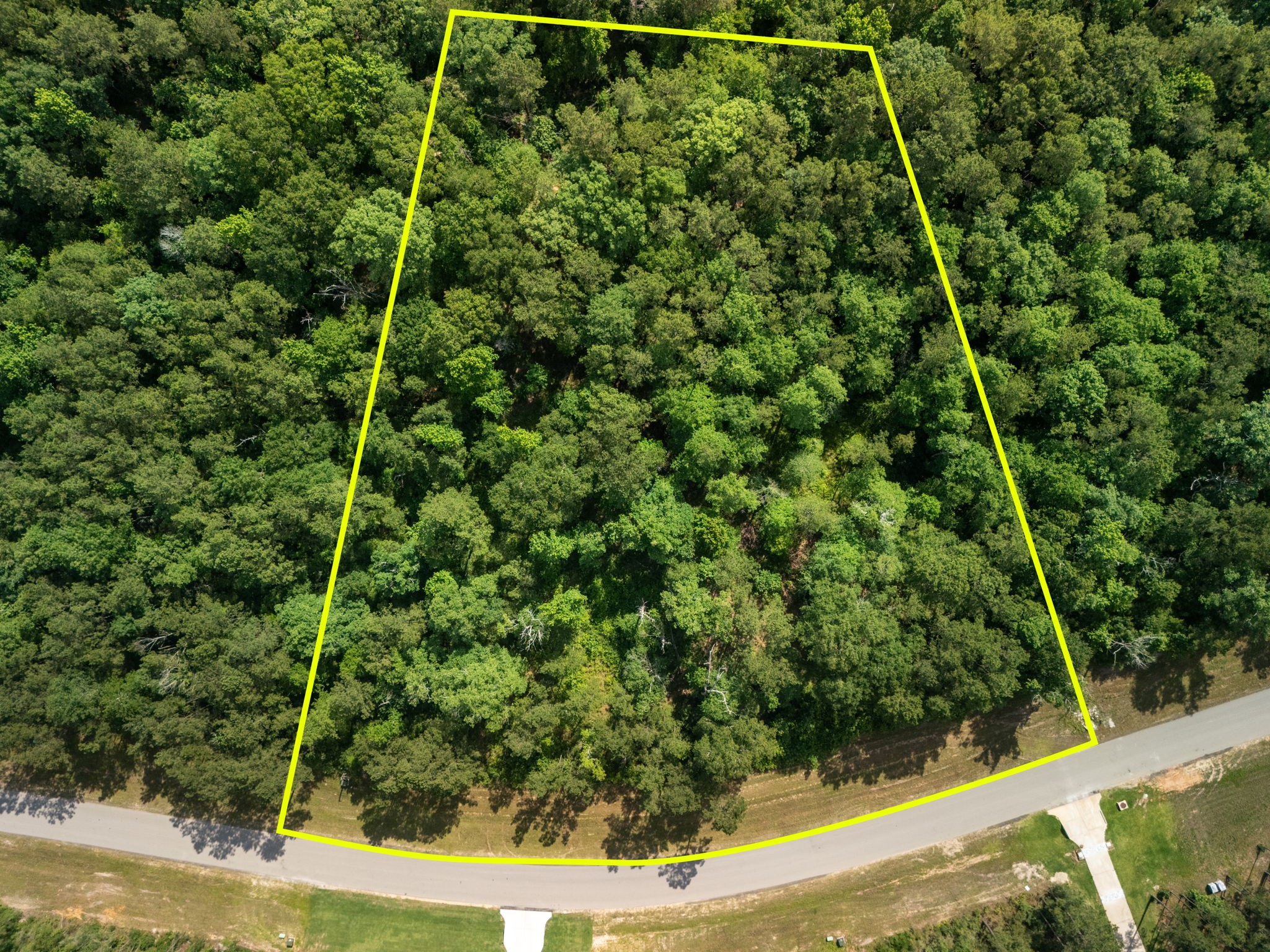 10751 Ruger Road Willis, TX 77378 - Photo 3 of 22 Many large oak & pine trees make this nature's paradise.