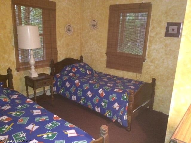 873 Sand Run Road Davis, WV 26260 - Photo 7 of 13 Gallery Image 7