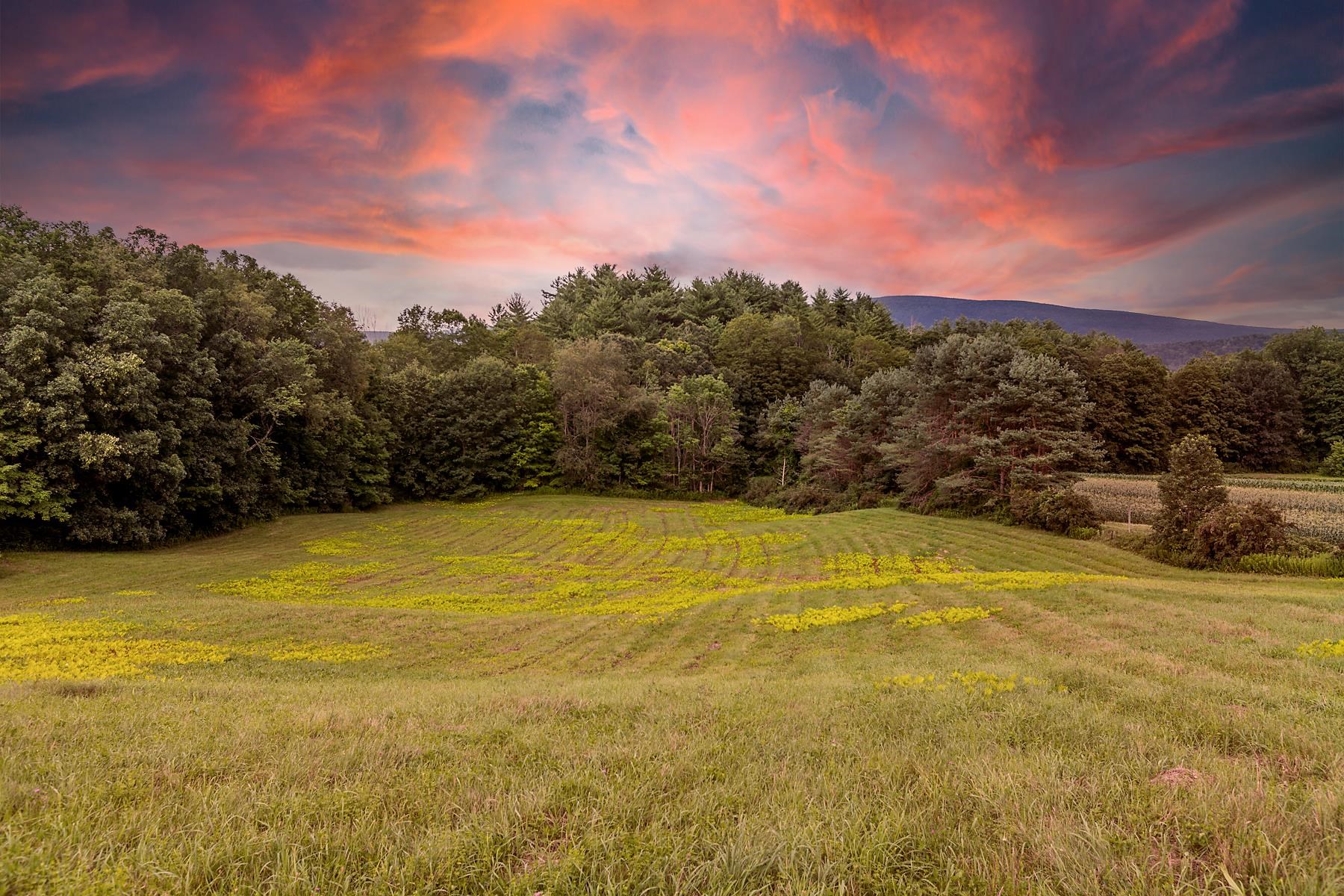 5072 Vermont Rte 7a Shaftsbury, VT 05262 - Photo 39 of 40 Gallery Image 39