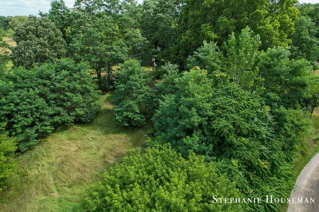 $15,000 | 11552 Cedar Street, Riverdale, MI 48877