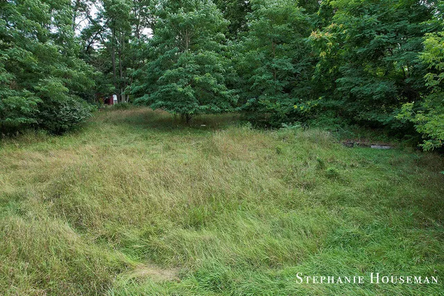 $15,000 | 11552 Cedar Street, Riverdale, MI 48877