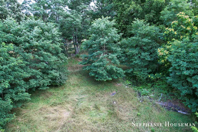 $15,000 | 11552 Cedar Street, Riverdale, MI 48877