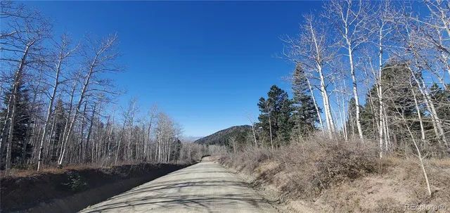 a black and white photo of a painting