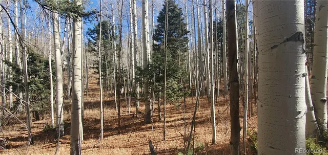 a view of a bathroom with shower