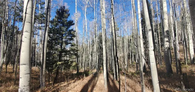 a view of a yard with plants and brick wall