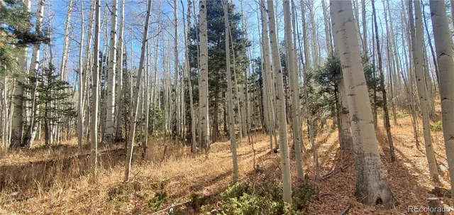 a view of outdoor space with trees