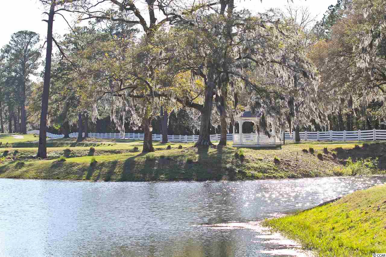 Lot 146 Millbrook Road Georgetown, SC 29440 - Photo 8 of 15