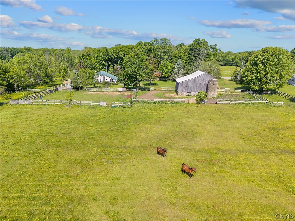 436 Albion Cross Road Pulaski, NY 13142 - Photo 44 of 49