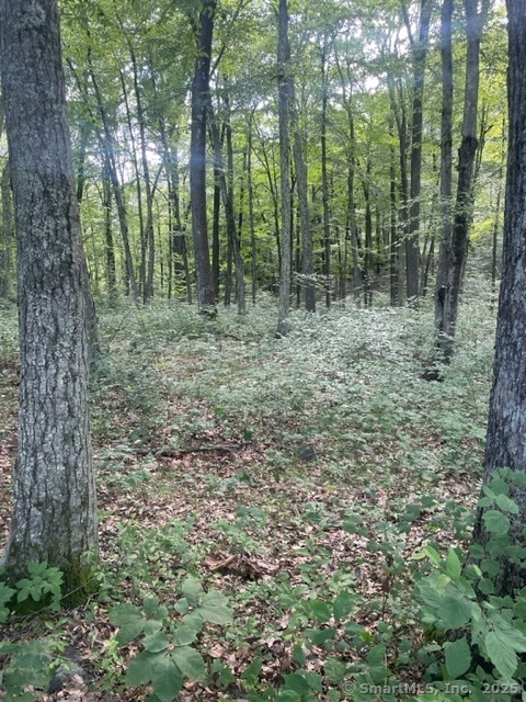 24 Costa Lane Redding, CT 06896 - Photo 4 of 8