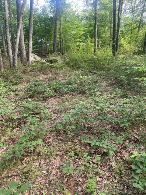 24 Costa Lane Redding, CT 06896 - Photo 5 of 8