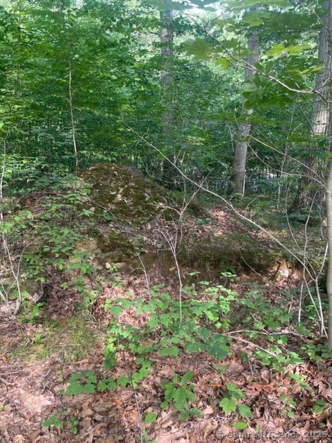 24 Costa Lane Redding, CT 06896 - Photo 7 of 8