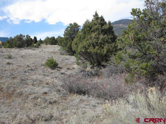 500 Kit Carson Road South Fork, CO 81154 - Photo 2 of 7 Gallery Image 2
