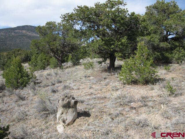 500 Kit Carson Road South Fork, CO 81154 - Photo 3 of 7 Gallery Image 3