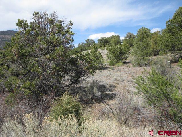 500 Kit Carson Road South Fork, CO 81154 - Photo 4 of 7 Gallery Image 4