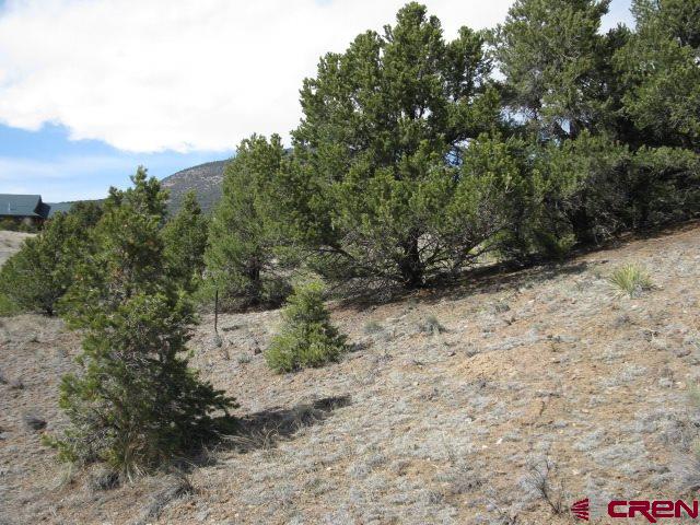 500 Kit Carson Road South Fork, CO 81154 - Photo 5 of 7 Gallery Image 5