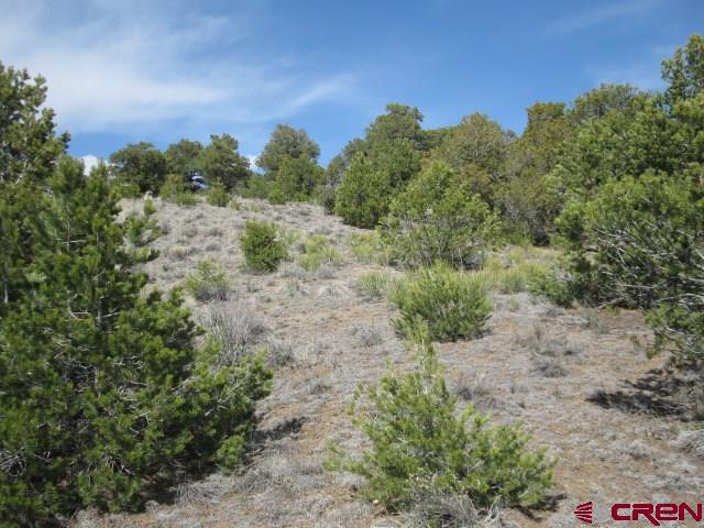 500 Kit Carson Road South Fork, CO 81154 - Photo 6 of 7 Gallery Image 6