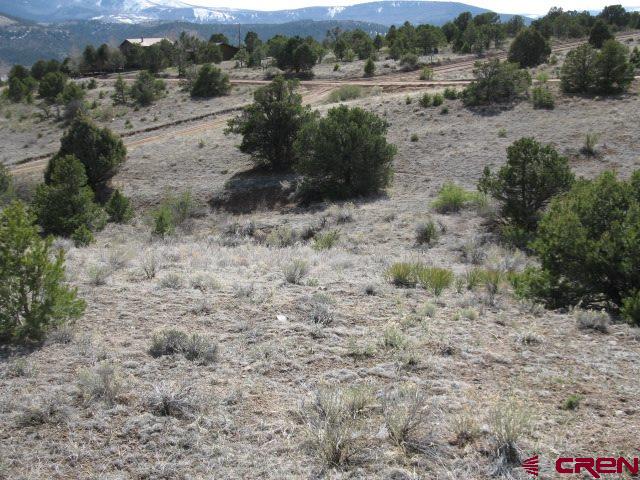 500 Kit Carson Road South Fork, CO 81154 - Photo 7 of 7 Gallery Image 7