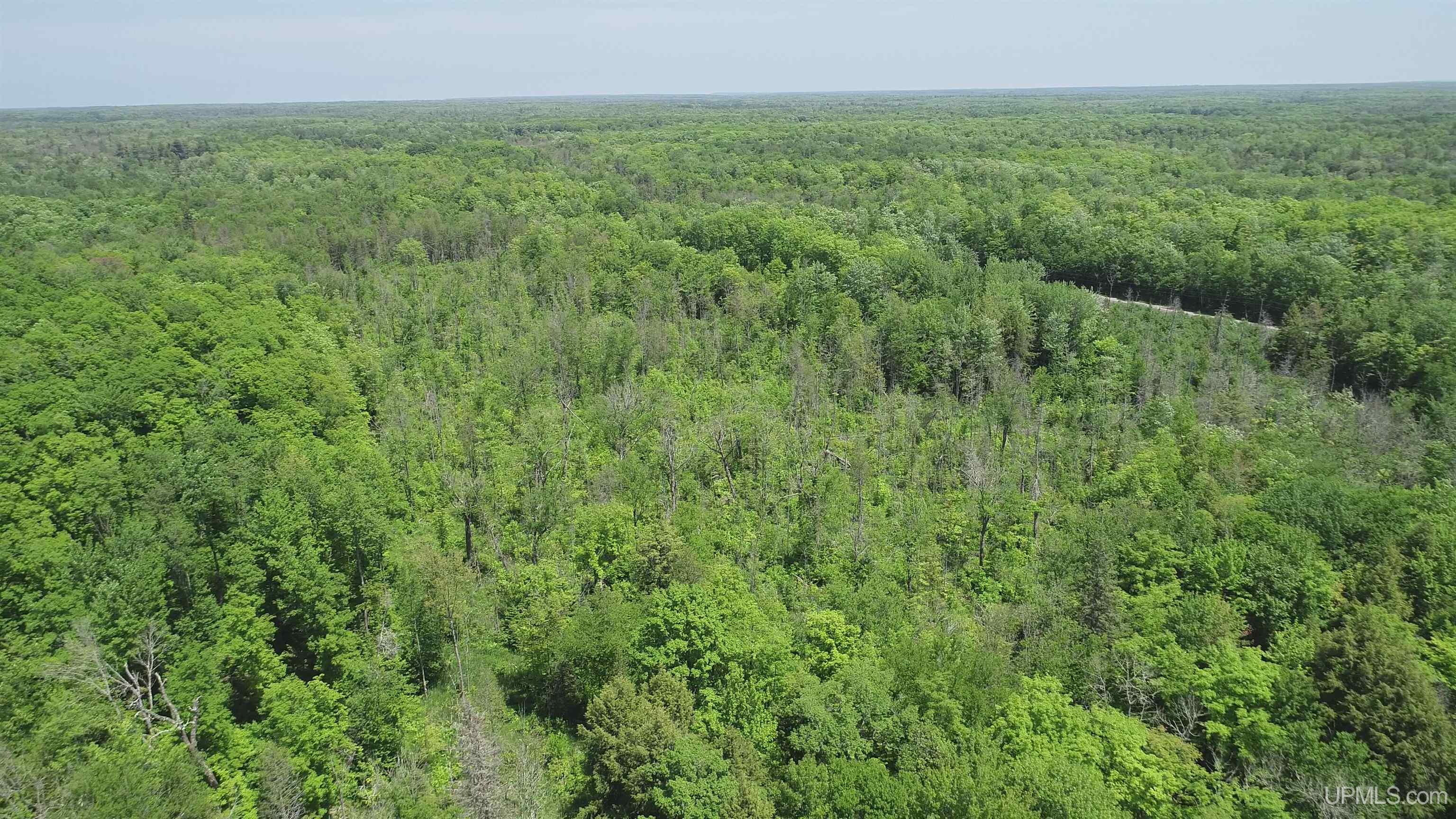 40-acres 40-acres Maple Grove Road Skandia, MI 49885 - Photo 5 of 19