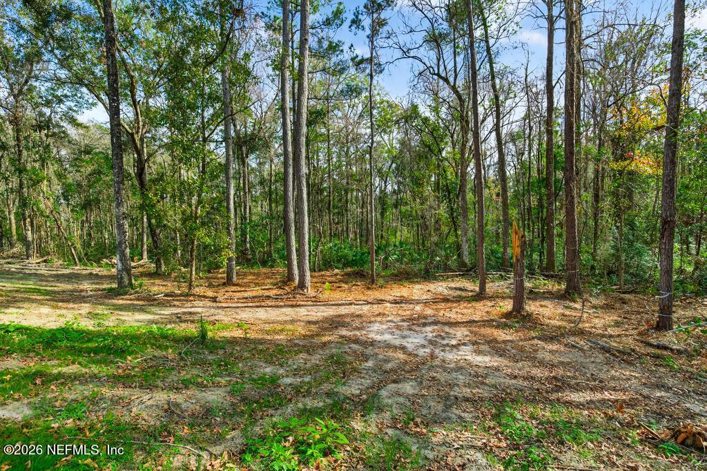 5333 Chicory Circle Middleburg, FL 32068 - Photo 50 of 53 a backyard of a house with lots of green space