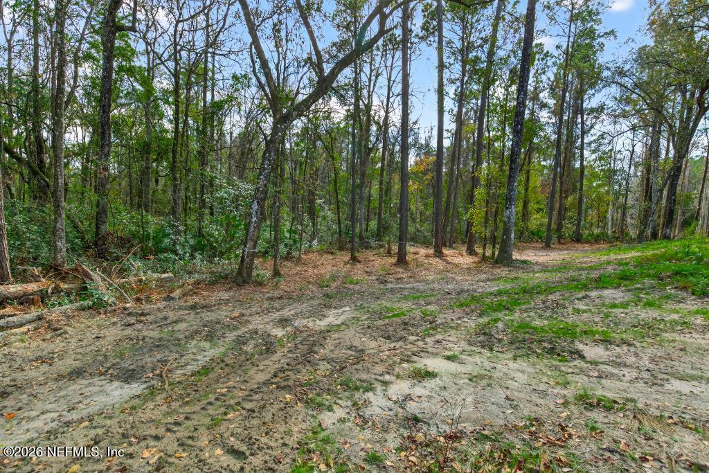 5333 Chicory Circle Middleburg, FL 32068 - Photo 52 of 53 a view of outdoor space with trees