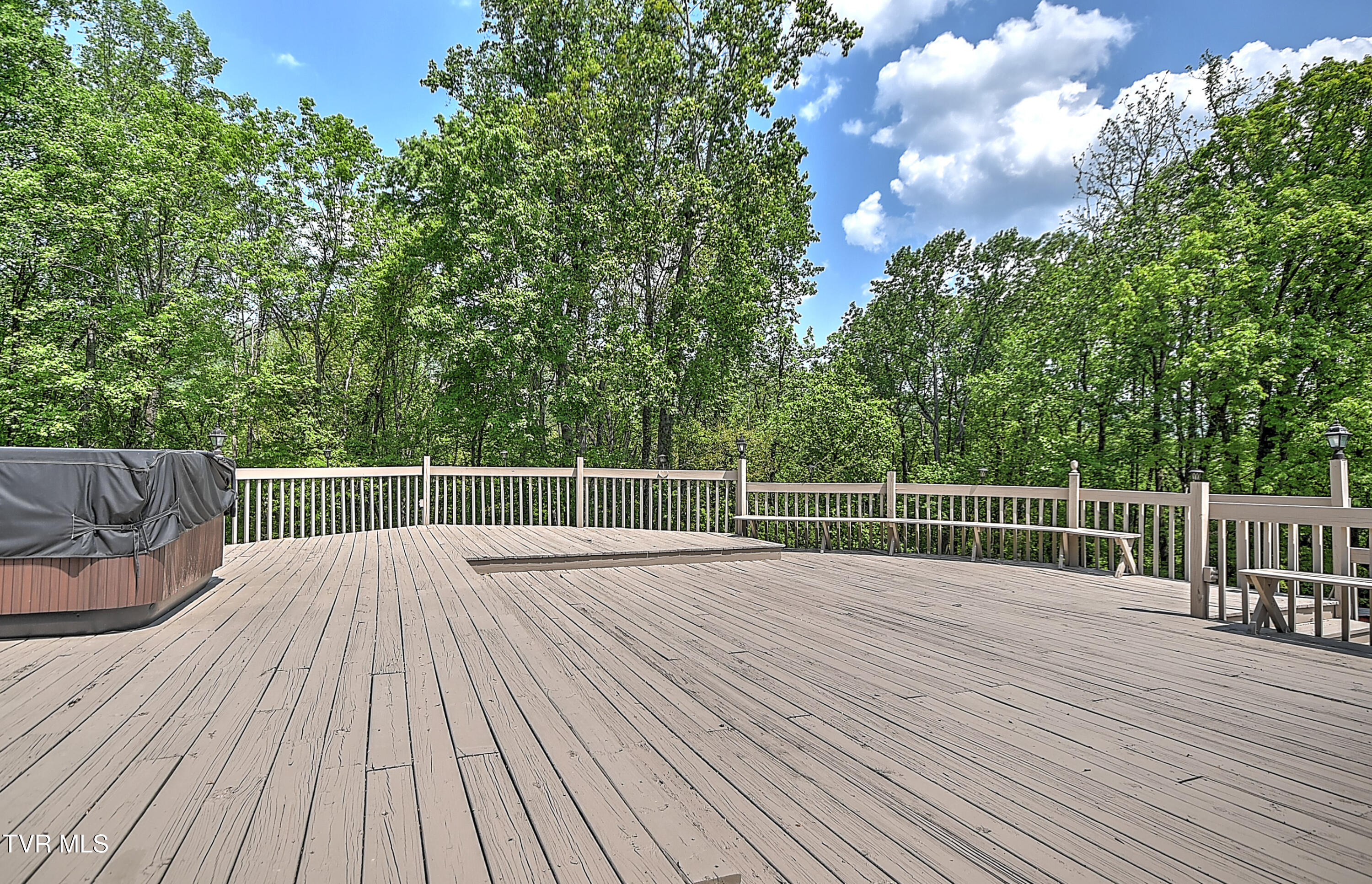 161 Judge Ben Allen Road Elizabethton, TN 37643 - Photo 62 of 88 161 Judge Ben Allen LC-56