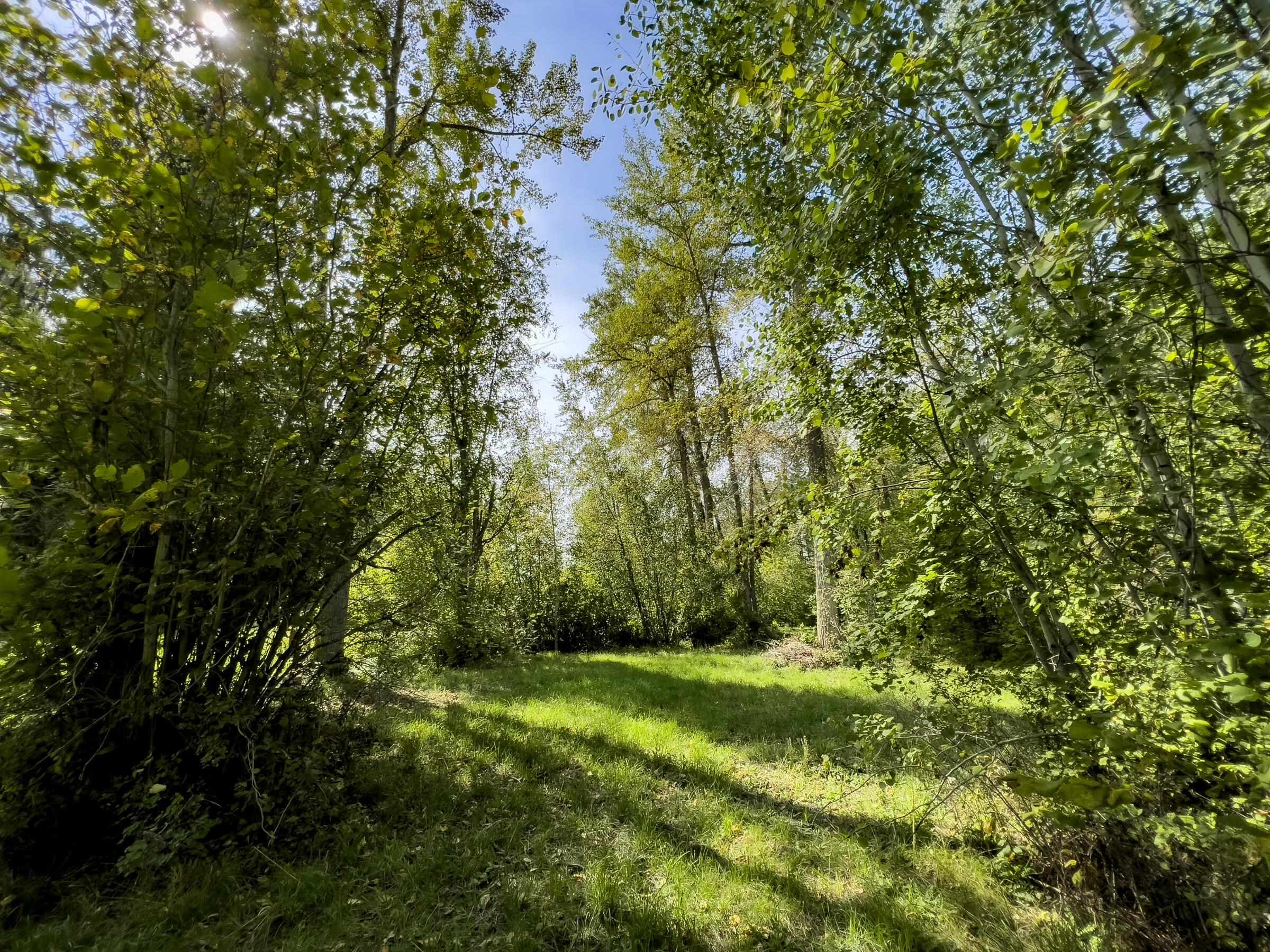 1508 Dead Medicine Road Evans, WA 99126 - Photo 25 of 41