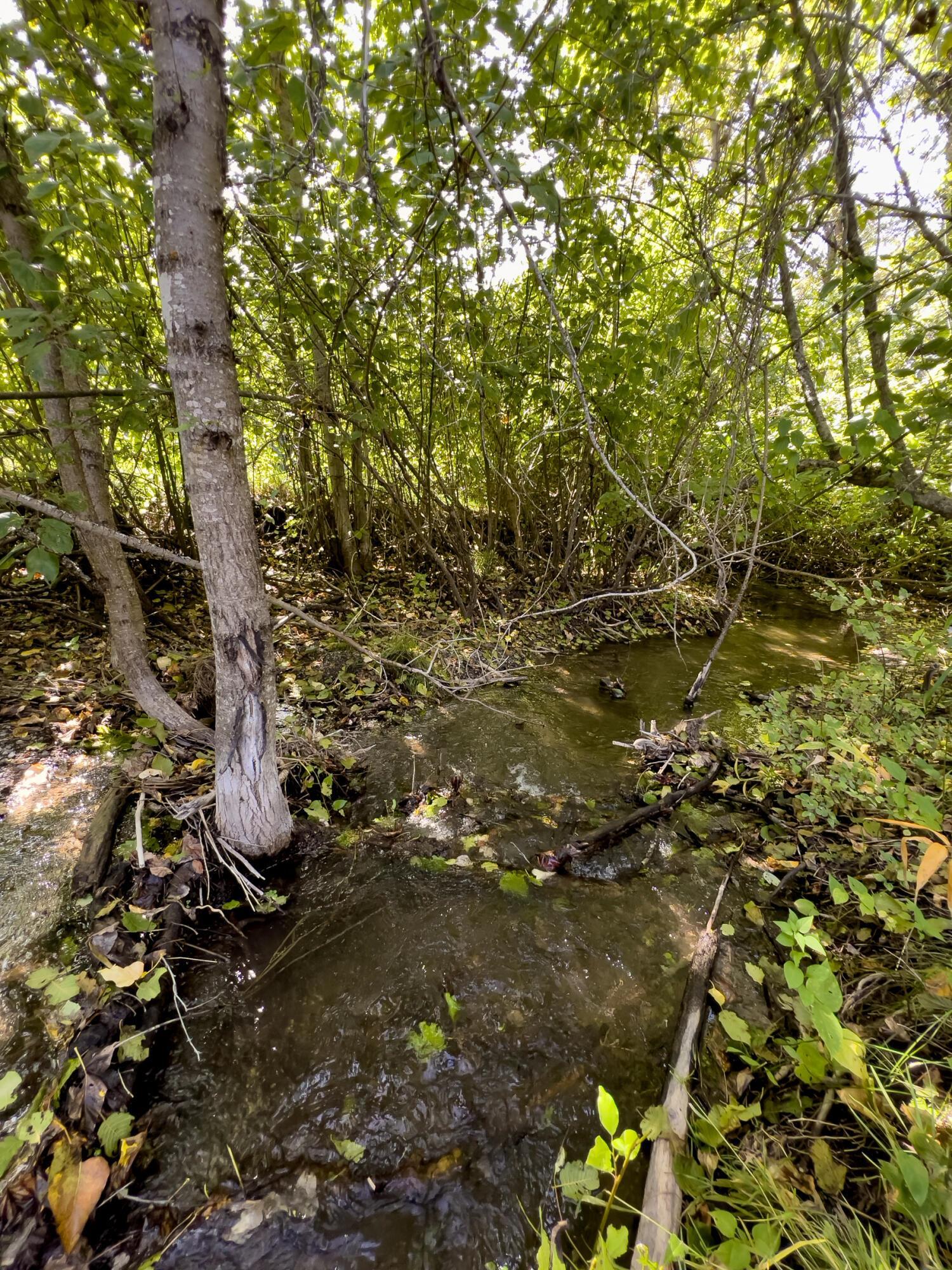 1508 Dead Medicine Road Evans, WA 99126 - Photo 26 of 41