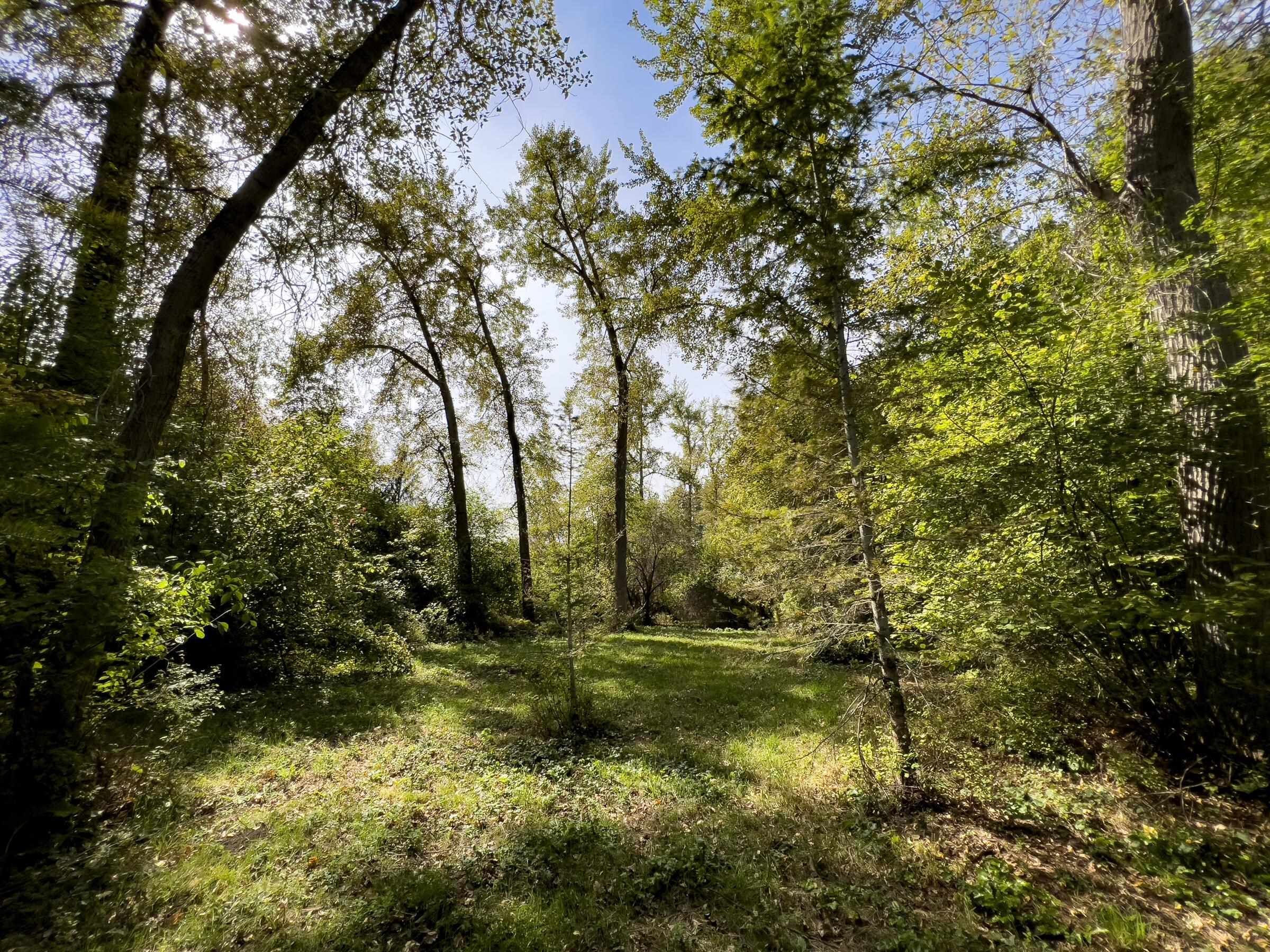 1508 Dead Medicine Road Evans, WA 99126 - Photo 27 of 41