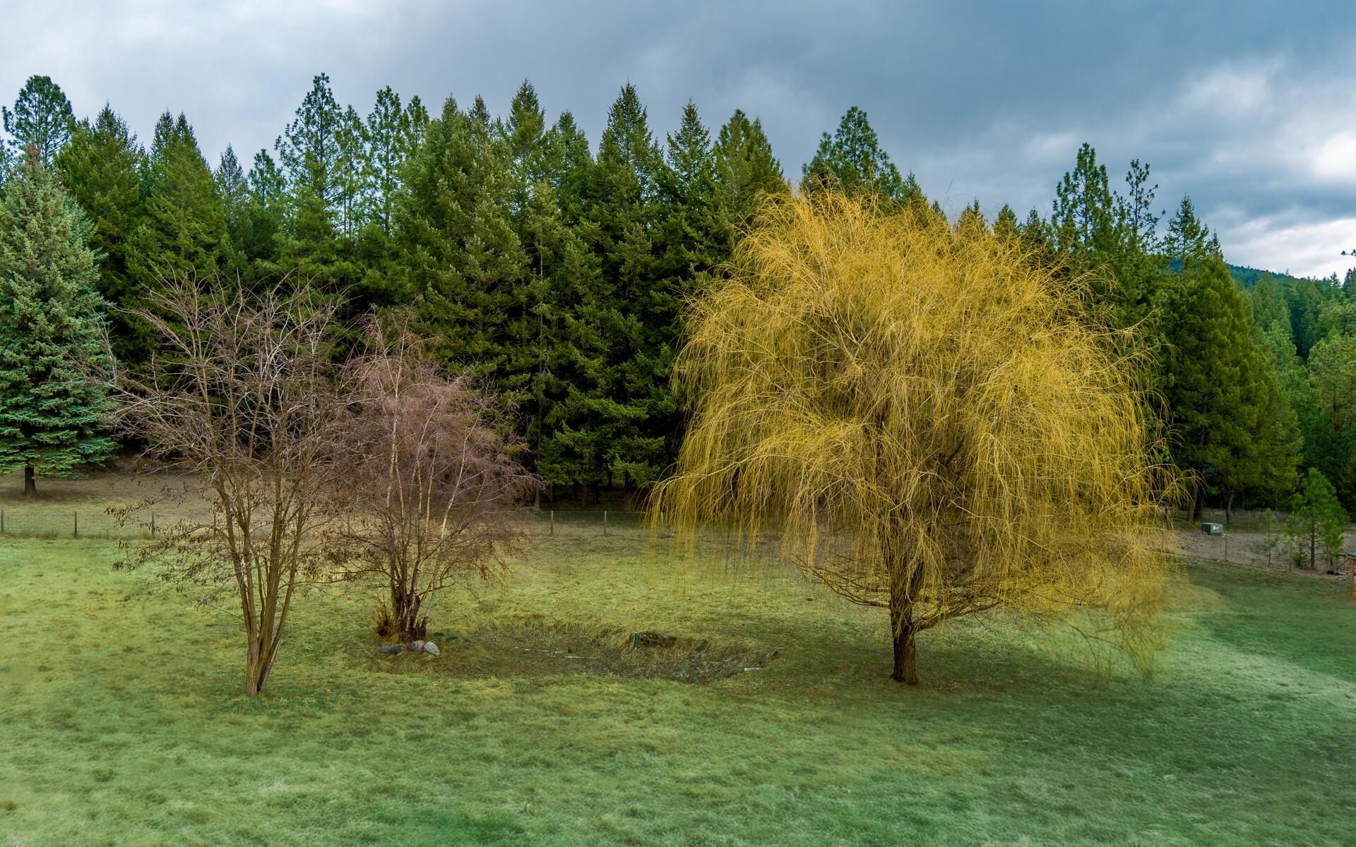 1508 Dead Medicine Road Evans, WA 99126 - Photo 34 of 41