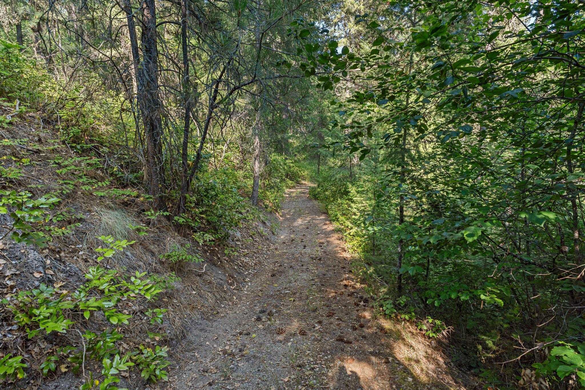 1508 Dead Medicine Road Evans, WA 99126 - Photo 39 of 41