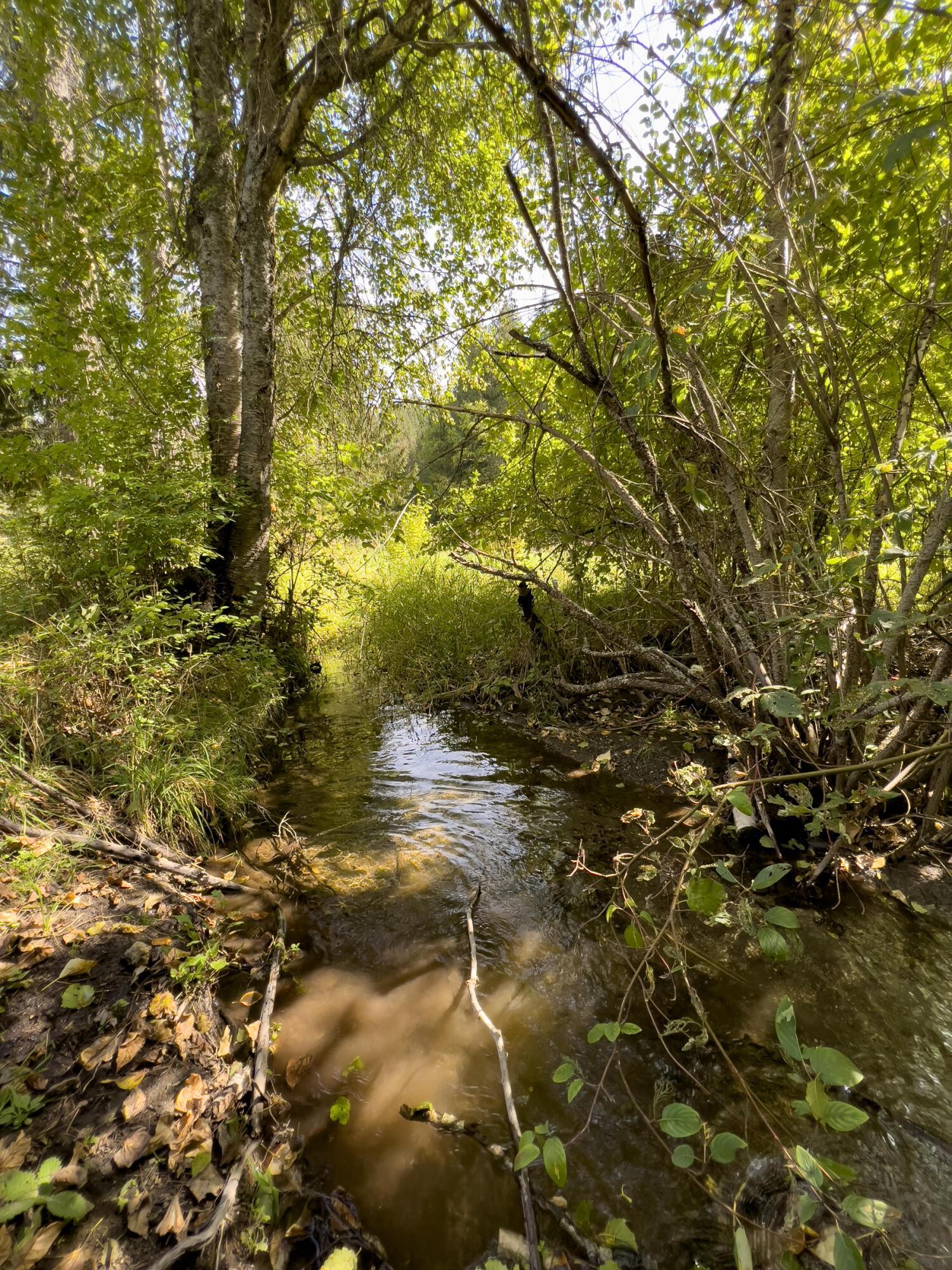 1508 Dead Medicine Road Evans, WA 99126 - Photo 4 of 41