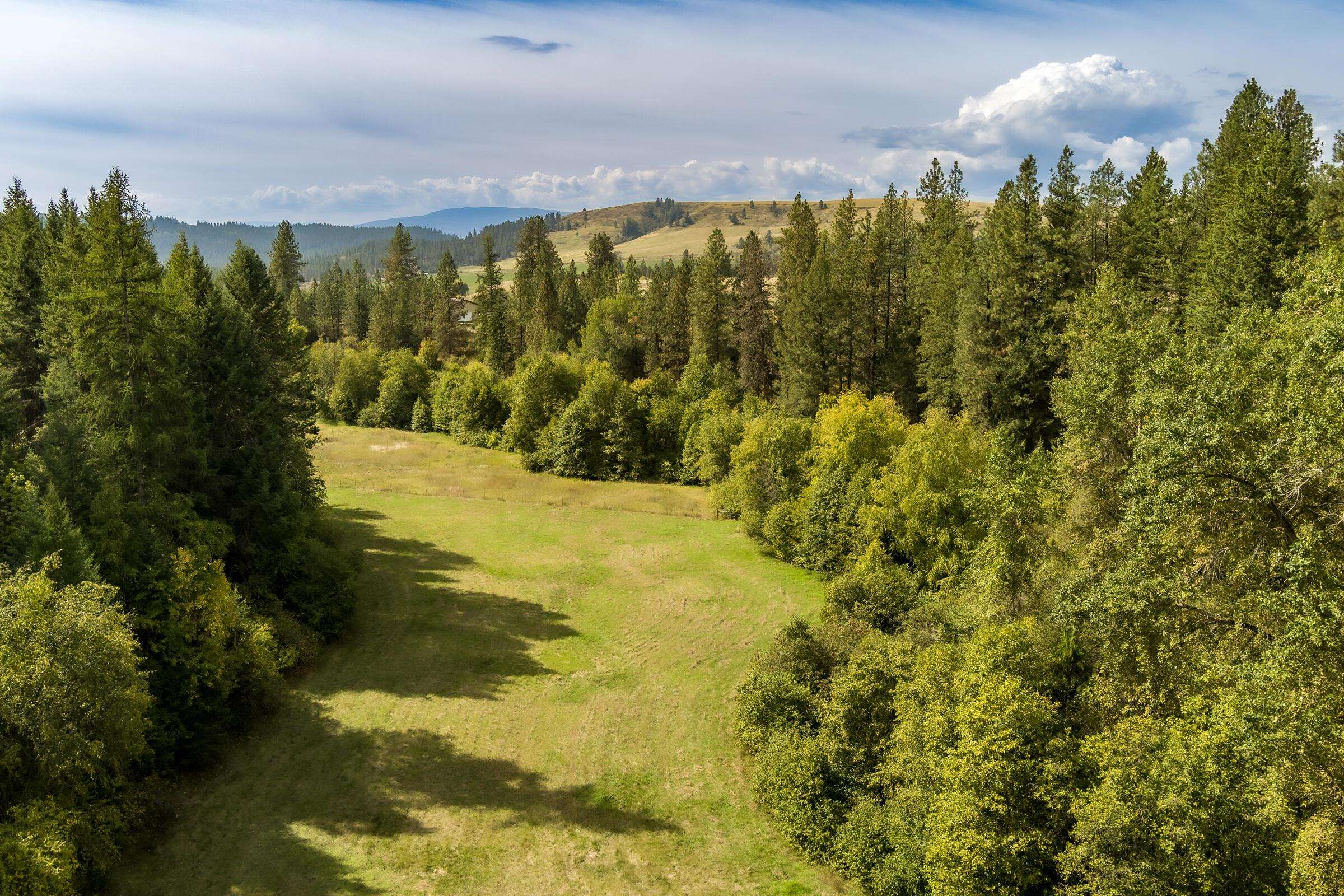 1508 Dead Medicine Road Evans, WA 99126 - Photo 5 of 41