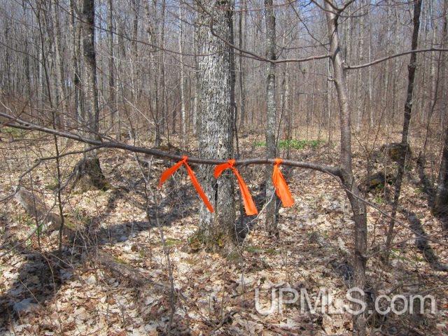 Four 4 Corners Road Crystal Falls, MI 49920 - Photo 14 of 17