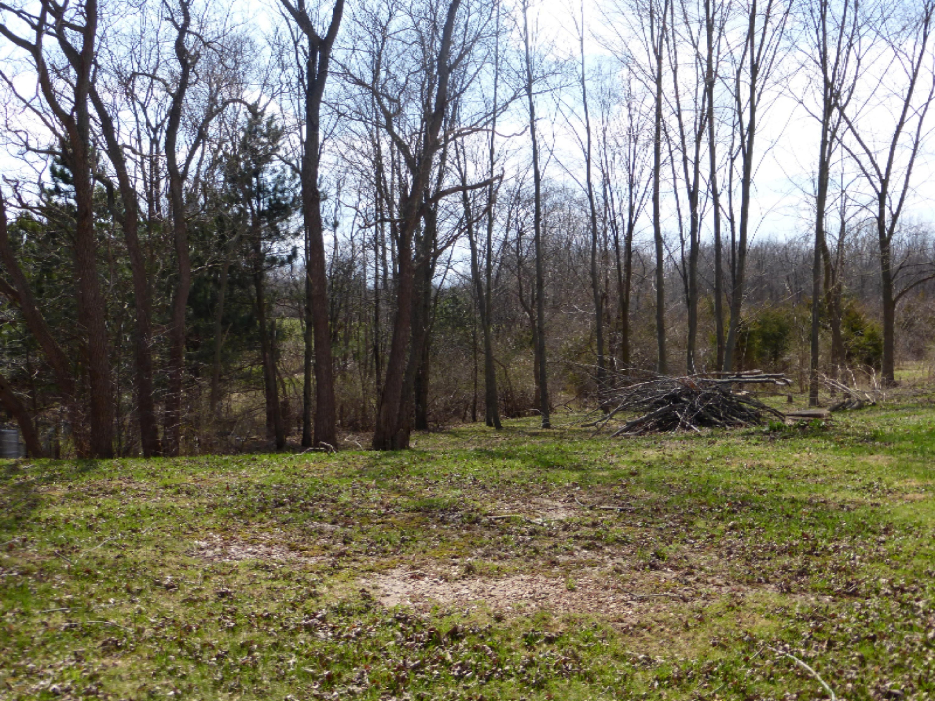 1562 Barron Lake Road Niles, MI 49120 - Photo 5 of 16 006