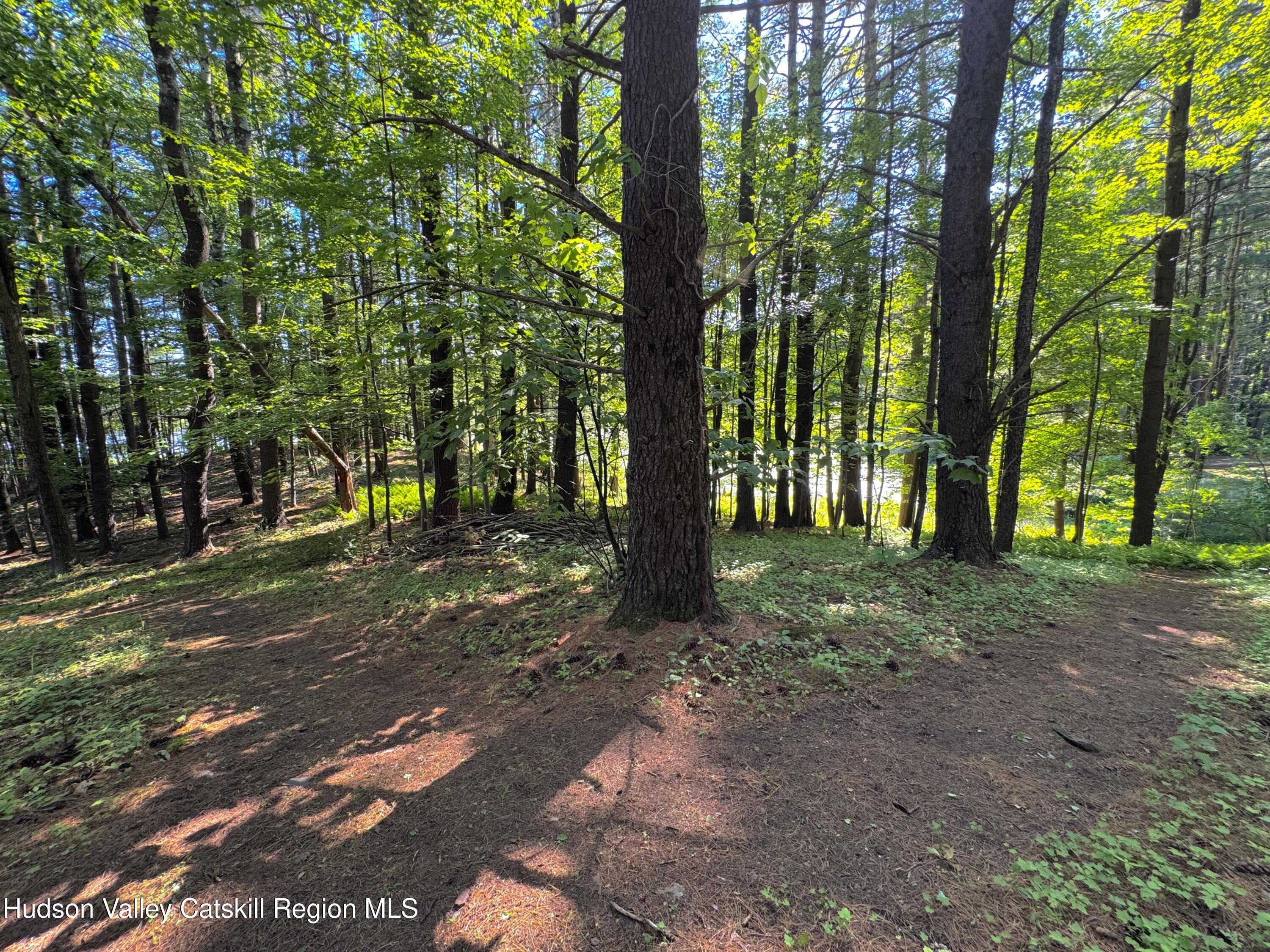 177 Webber Road Earlton, NY 12058 - Photo 31 of 50 a view of outdoor space with lots of trees