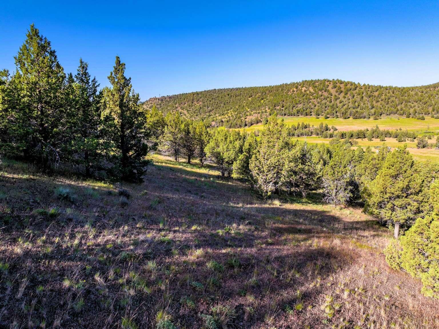 737 Raccoon Lane Alturas, CA 96101 - Photo 7 of 16 Dingman.7