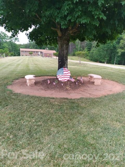 845 Sandy Level Church Road Bostic, NC 28018 - Photo 41 of 46 a view of a garden with an outdoor space