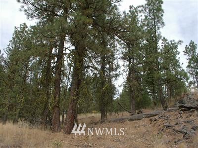 -2xx Fs 3525 Road Tonasket, WA 98855 - Photo 1 of 1 Gallery Image 1