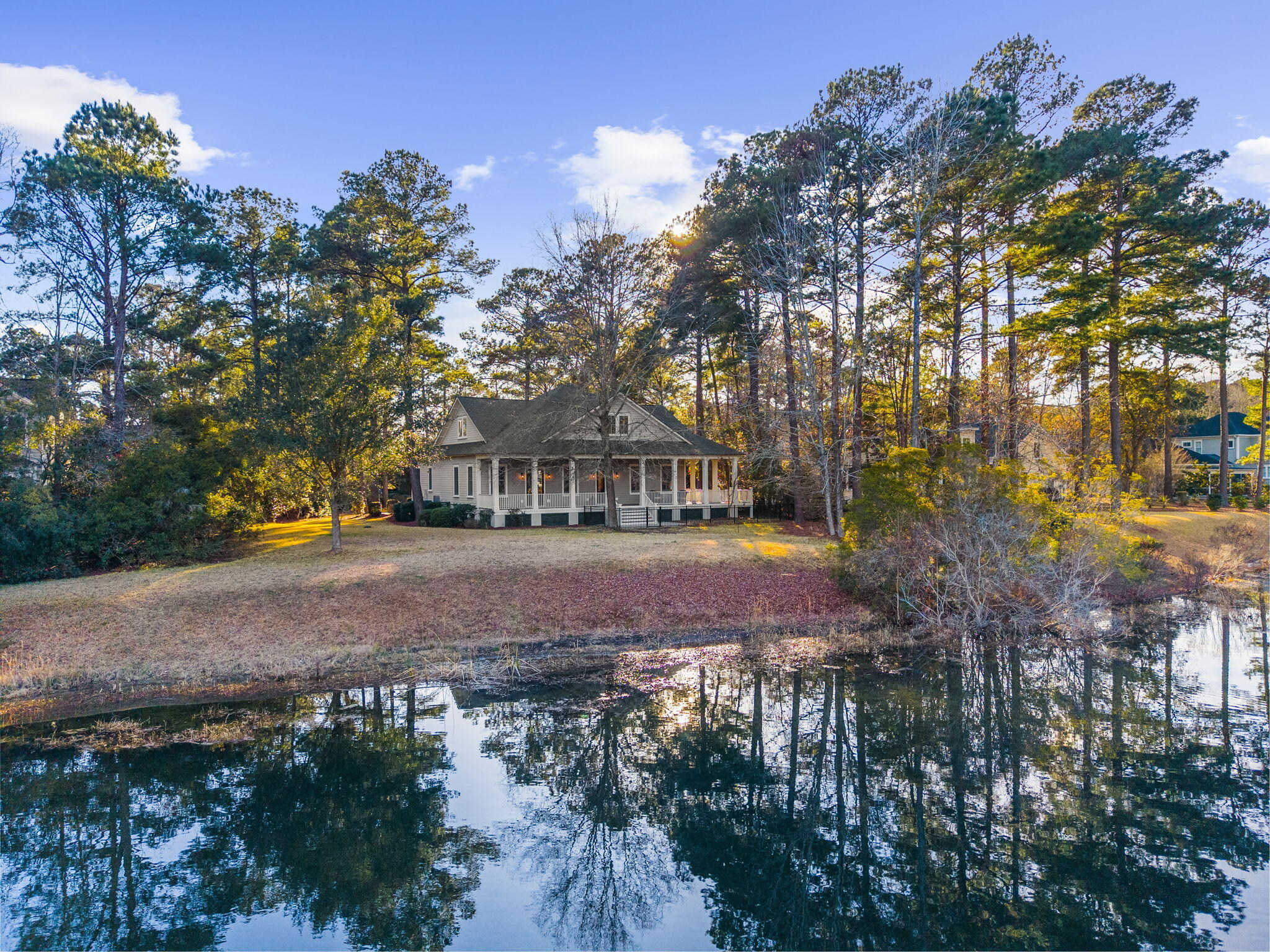 4104 Ten Shillings Way Ravenel, SC 29470 - Photo 41 of 64 Back of the home view