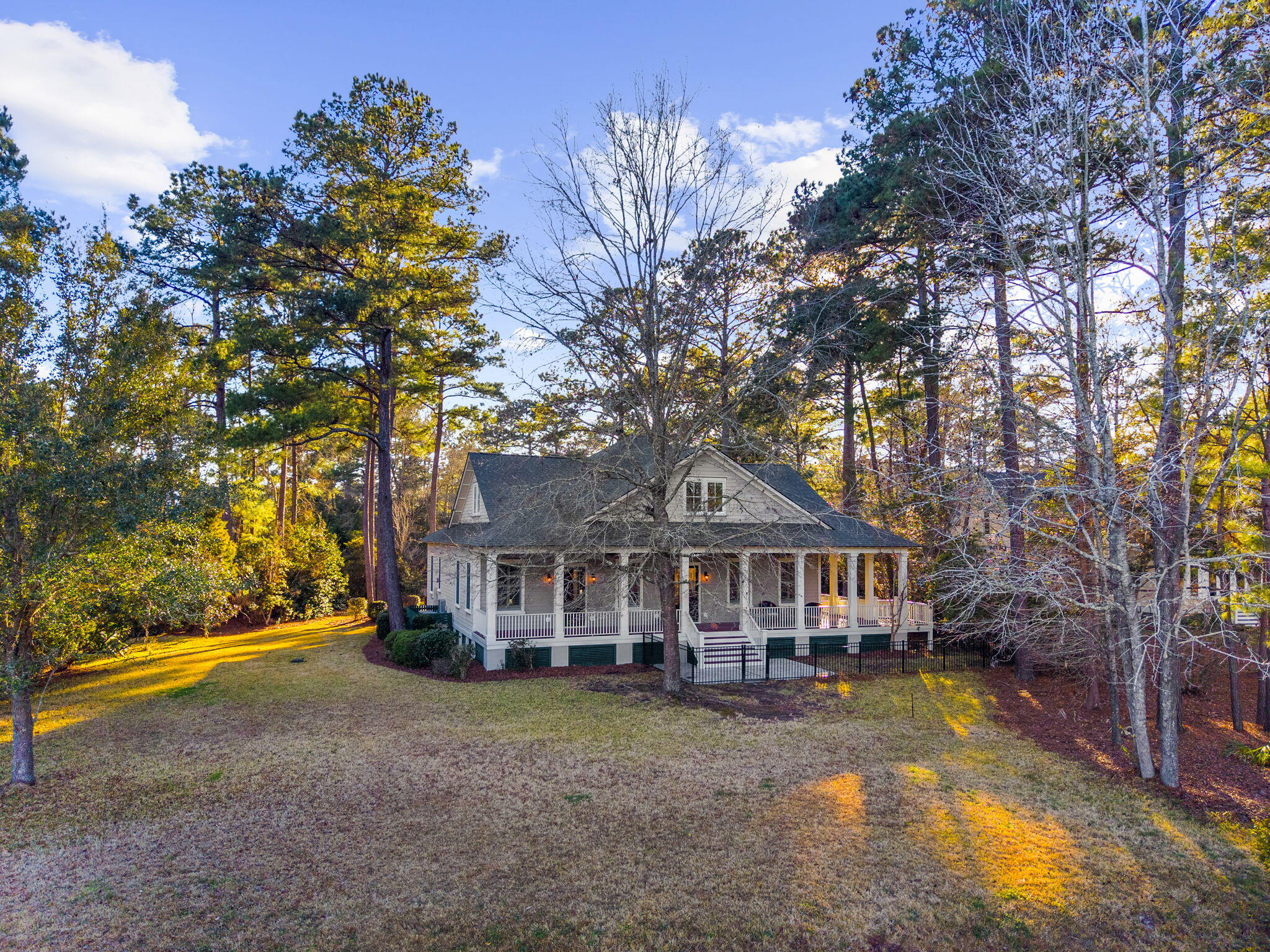 4104 Ten Shillings Way Ravenel, SC 29470 - Photo 54 of 64 Backyard