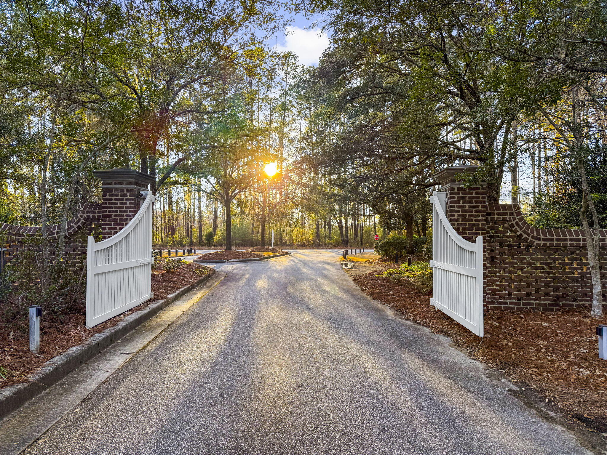 4104 Ten Shillings Way Ravenel, SC 29470 - Photo 55 of 64 Gated entrance to Poplar Grove